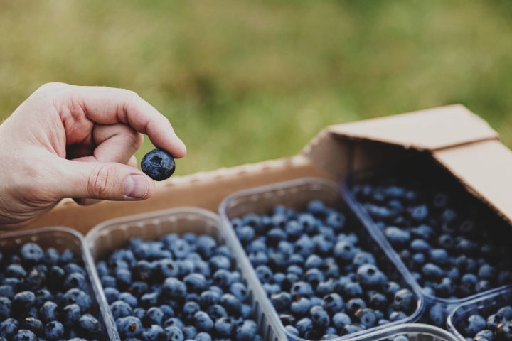 La Libertad: impulsan la economía circular en el sector agroindustrial