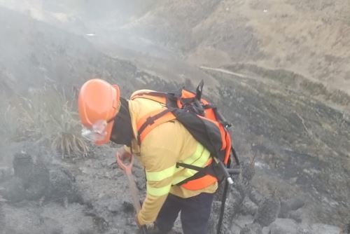 Incendio forestal arrasa con 100 hectáreas de pastos y eucalipto en Santiago de Chuco 