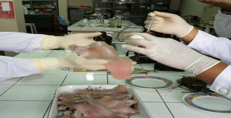 Trujillo: municipio incautó pescado en mal estado en el mercado Palermo