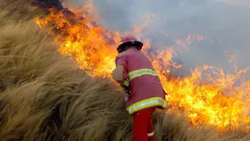  Amazonas, Cajamarca y Áncash son las regiones más afectadas por el riesgos de incendios