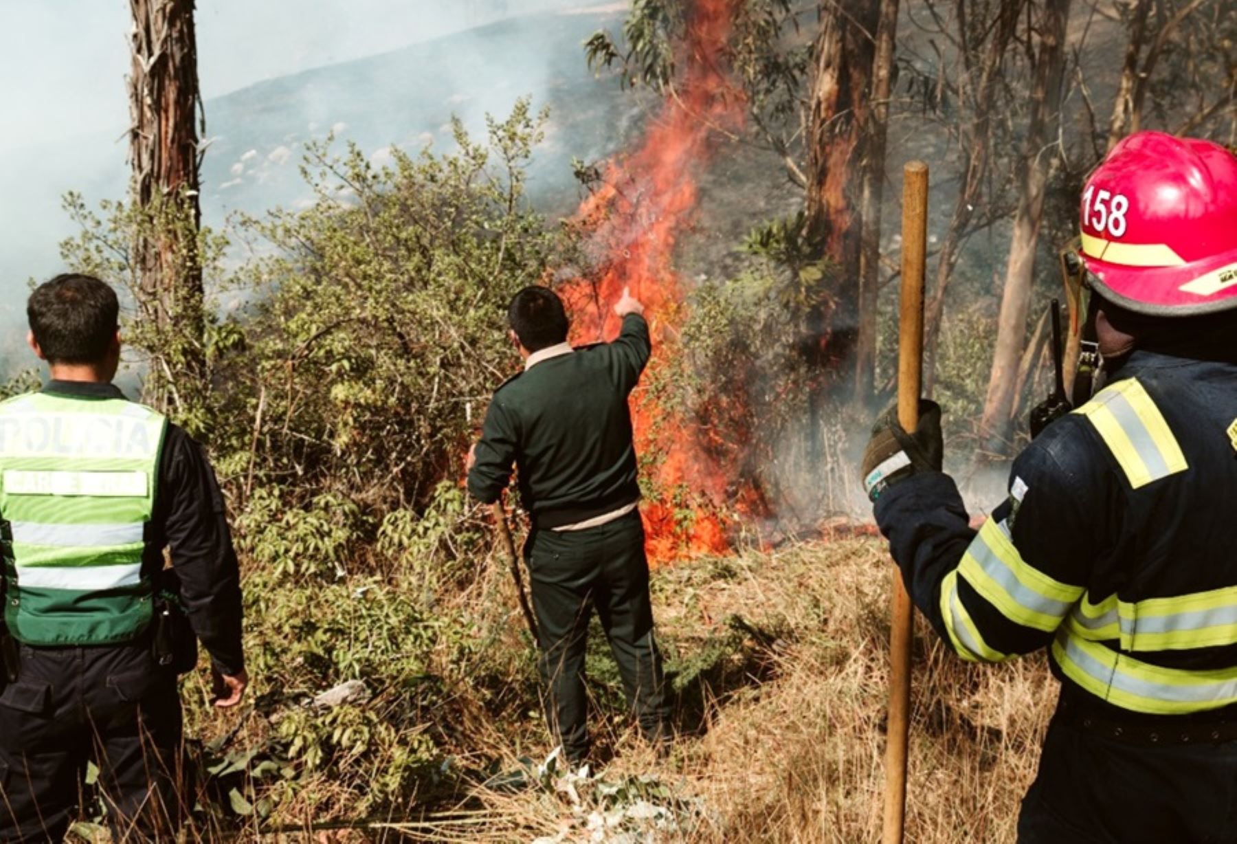 Incendios forestales arrasan con más de 1,000 hectáreas de cobertura vegetal en La Libertad