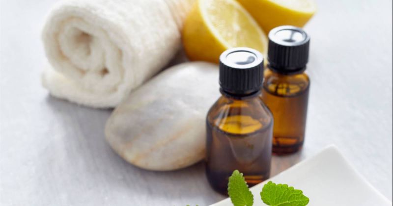 Despachos industriales crecieron 9.8% entre enero y octubre del 2024