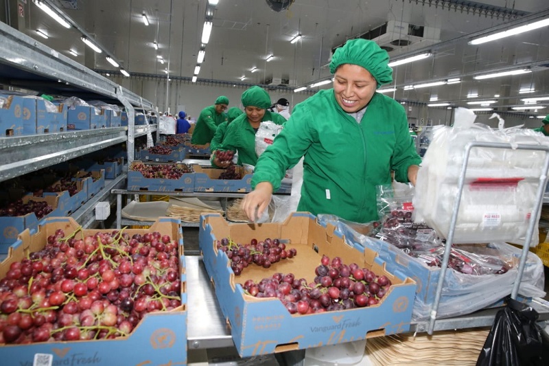 Ministra Cáceres: "Gobierno labora la voluntad política de proteger la vida y salud de los trabajadores"
