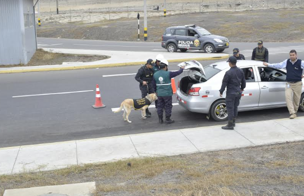 Exhortan a turistas del norte del país a no ingresar plantas ni frutos por plaga incurable