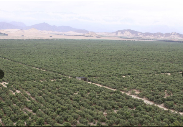 Poder Ejecutivo revisará Chavimochic III por caso Odebrecht