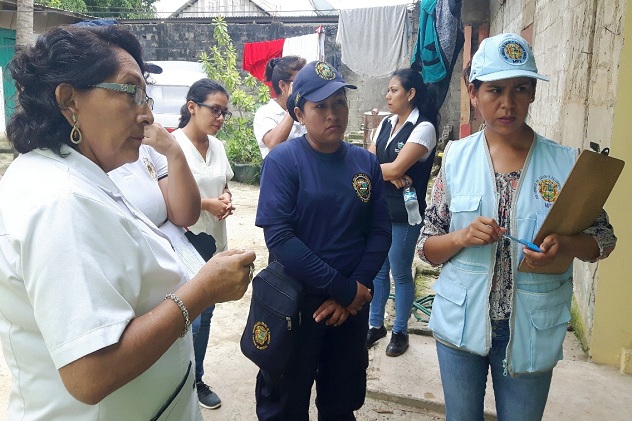 Minsa redobla esfuerzos en regiones para eliminar larvas del zancudo del dengue