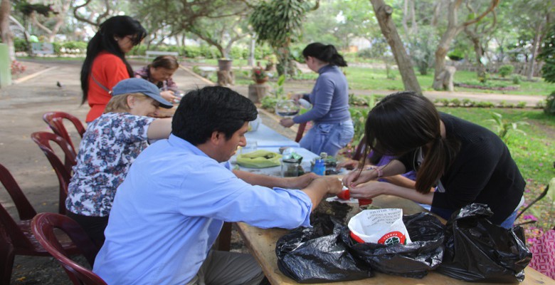 Ofrecen taller gratuito de diseño de plantas “Kokedamas” en Trujillo
