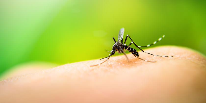 La Libertad tiene 25 casos de dengue, dos de ellos llegaron de Madre de Dios