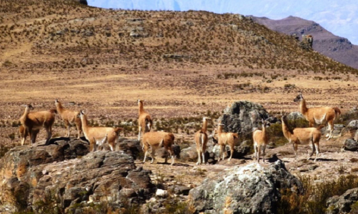 Reservas naturales de La Libertad se incluirán en circuito turístico "La Ruta Moche"