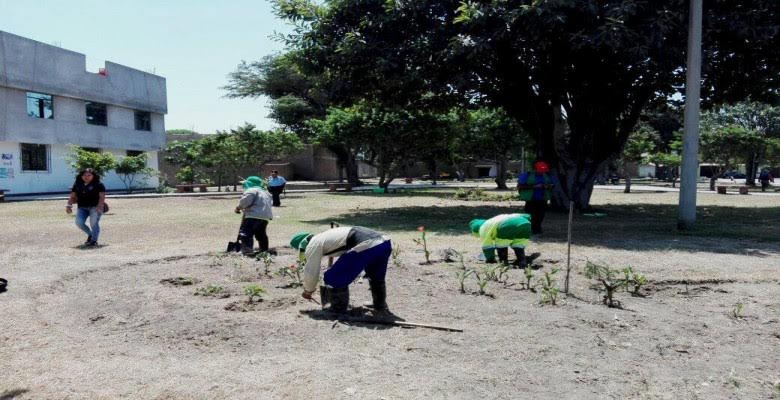 Trujillo: comunidad y municipio realizan labor de limpieza y remozamiento de parques y jardines