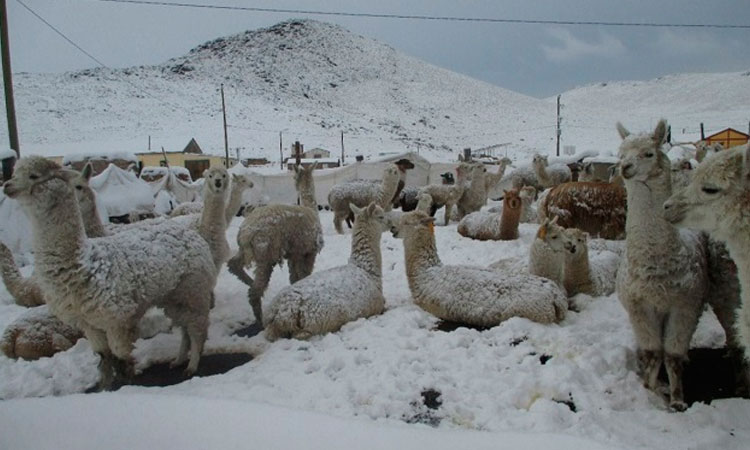 Lluvia, nieve y granizo se registrarán en la sierra de 16 regiones, entre ellas La Libertad