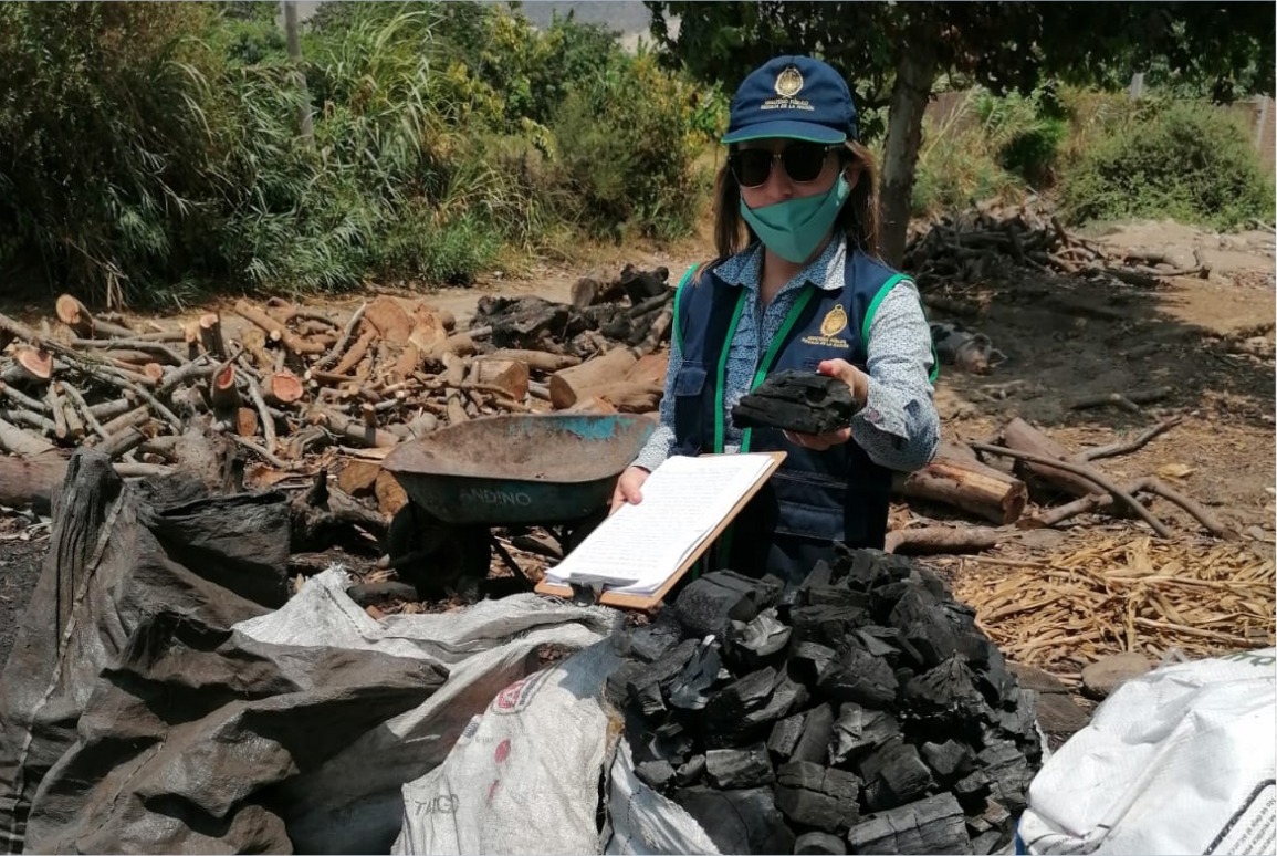 La Libertad: Hombre tendrá que pagar cuantiosa reparación civil por traficar madera 