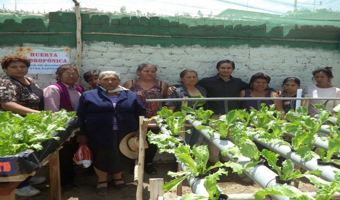  Implementan proyecto de siembra hidropónica a favor de madres trujillanas
