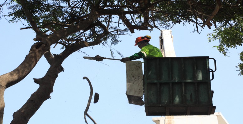 Comuna realizó mantenimiento de áreas verdes en Jardín Botánico