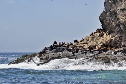 Conoce las áreas naturales protegidas que se pueden en Semana Santa
