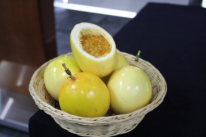 Forman grupo de trabajo que impulsará cadena productiva del maracuyá