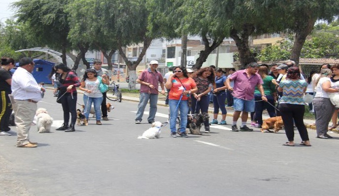 MPT y asociaciones protectoras organizan Primera Maratón Canina 