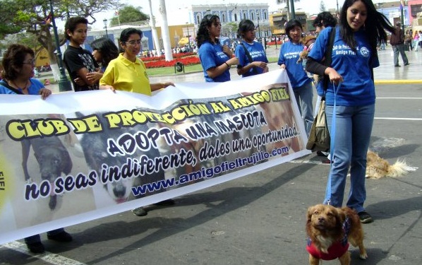 Gobierno regional declara de interés nacional promoción de derechos de los animales