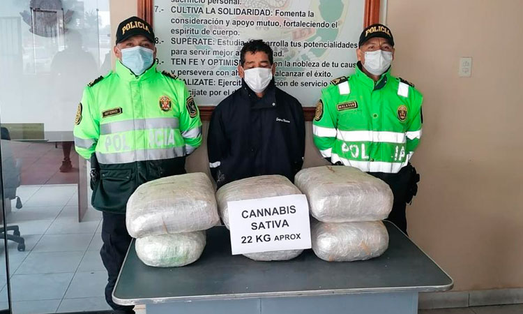 Decomisan 22 kilos de marihuana en bus a la altura de Poroto