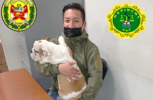 Vecinos de Paiján alertan sobre robo masivo de mascotas 