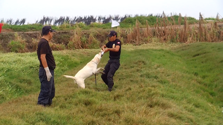 Mascota de la Brigada Canina del Serenazgo de Trujillo participa en curso antidrogas