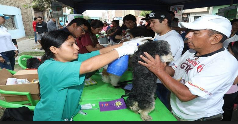 Unas 170 mascotas fueron atendidas en la campaña ‘Colita Feliz’ en Trujillo