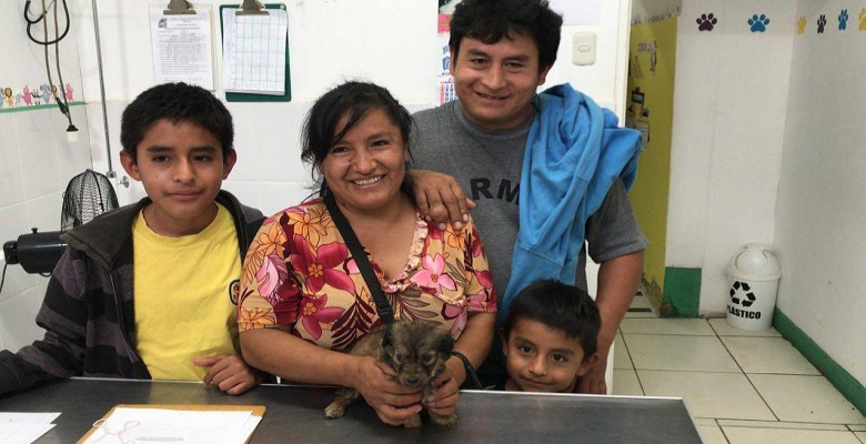 Trujillo: cachorros rescatados en operativo de la MPT ya tienen hogar