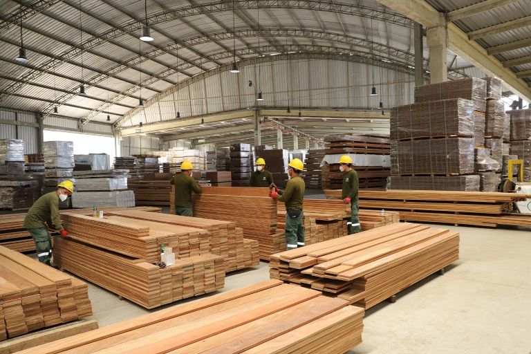 Exportaciones forestales cayeron -15.8% en el 2024