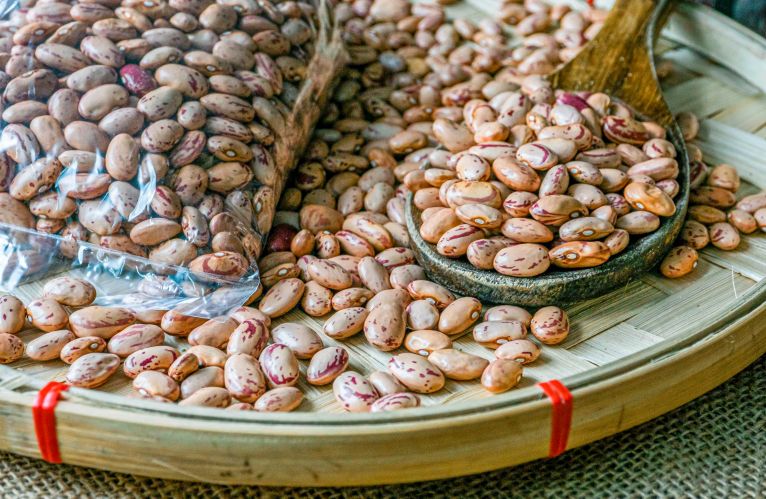 Normas técnicas peruanas de leguminosas promueven calidad y seguridad alimentaria