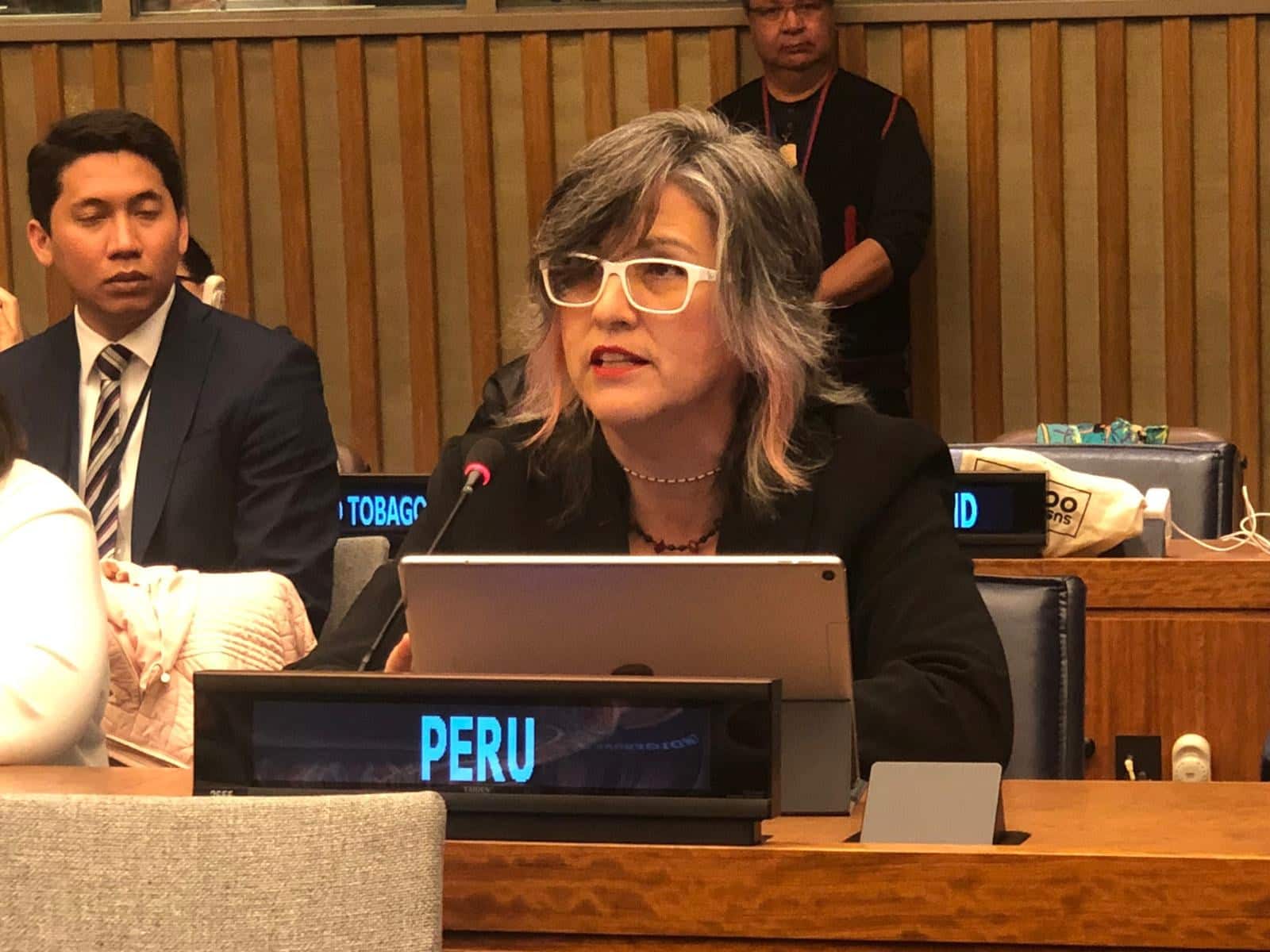 Ministra de Cultura presentó avances del Estado peruano en defensa de los derechos de los pueblos indígenas u originarios