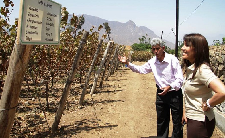 Presentan a Cascas como nuevo destino turístico del Perú