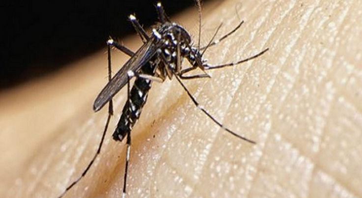 La Libertad, Lambayeque y Piura, entre departamentos en emergencia sanitaria por el zika