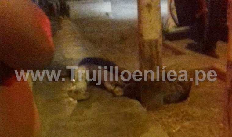 Matan a fabricante de muebles cerca a su vivienda en Florencia de Mora