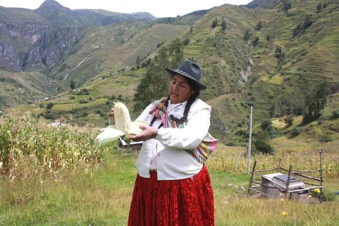 Mujer peruana  participa en más del 43% de proyectos de desarrollo