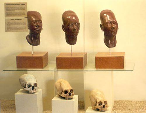 Visita desde casa el Museo Julio C. Tello y descubre los enigmas de la cultura Paracas