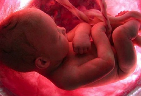 Mensaje de la Conferencia Episcopal Peruana al celebrarse el “Día del Niño por Nacer"