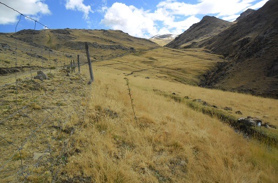 Gobierno aprueba decreto de urgencia para apoyar a los agricultores de nueve regiones