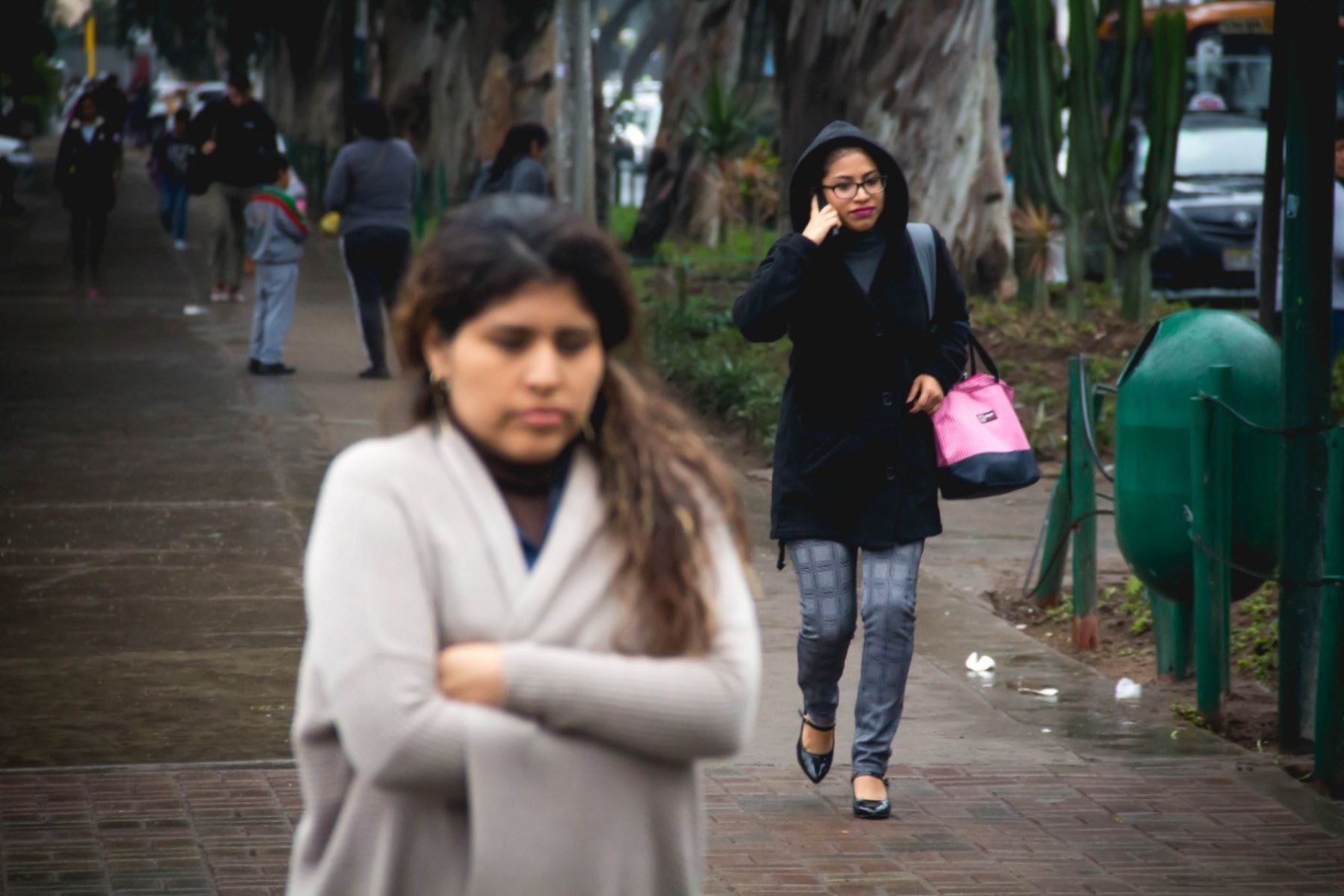 Instan a tomar precauciones por ola de frío en  localidades de la costa, sierra y selva