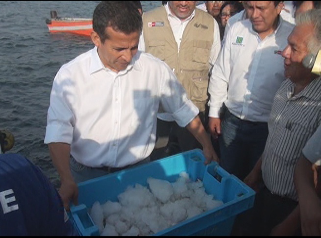Presidente Ollanta Humala supervisó desembarcadero en Puerto Morín