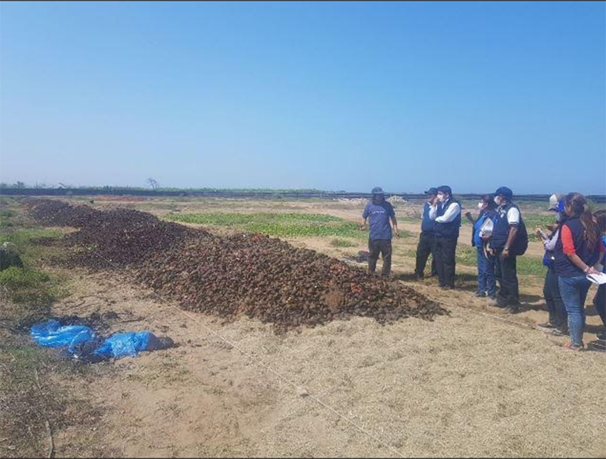 Municipalidad de Víctor Larco iniciará proceso contra empresa por fétidos olores