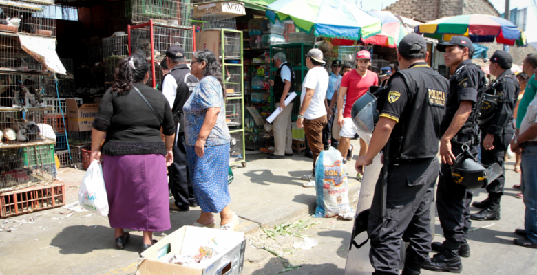 Rescatan a medio centenar de animales que eran comercializados en mercado de Palermo
