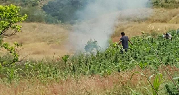  Ancash: la Policía descubre en Pallasca e incinera más de 26 mil plantones de marihuana