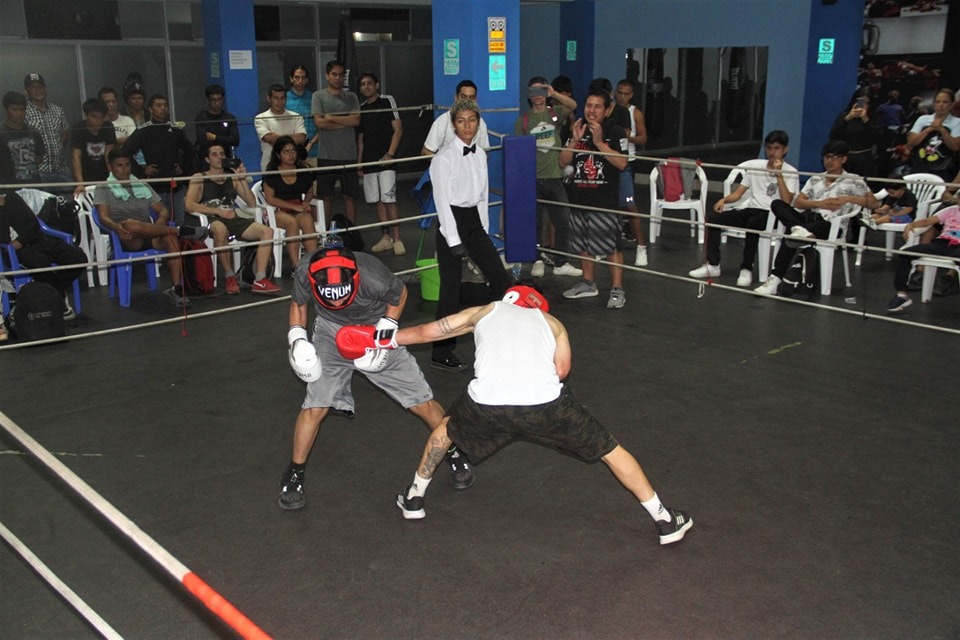 Inicia el III Festival del Boxeo este sábado 24 en la piscina Gildemeister
