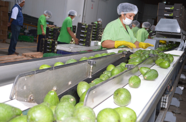 La Libertad: inauguran Estación Meteorológica que beneficiará a productores de palta Hass en Chao