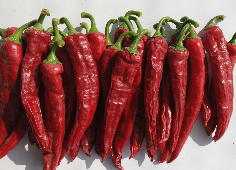 Adex informa que exportación de Páprika se redujo -5%