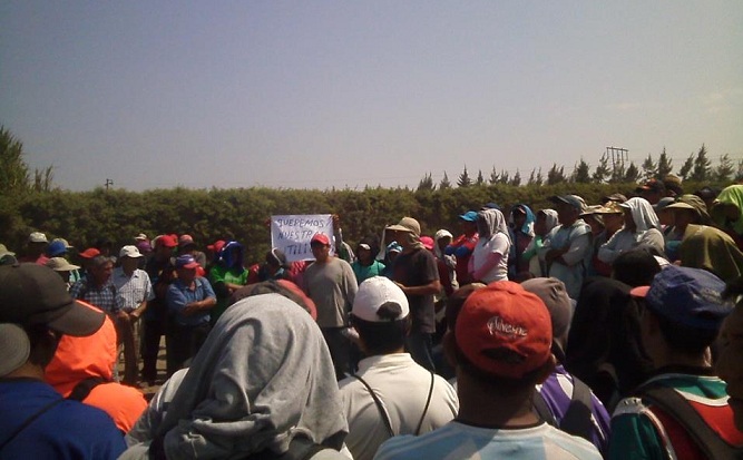  Más de 600 trabajadores de empresa agrícola Virú paralizan por segundo día