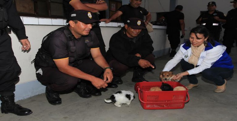 Asociaciones protectoras de animales respaldan creación de parque ‘Mi Mejor Amigo’ en Trujillo