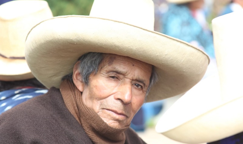 Pensión 65 habilitó 33 nuevos puntos de pago en zonas alejadas del país 