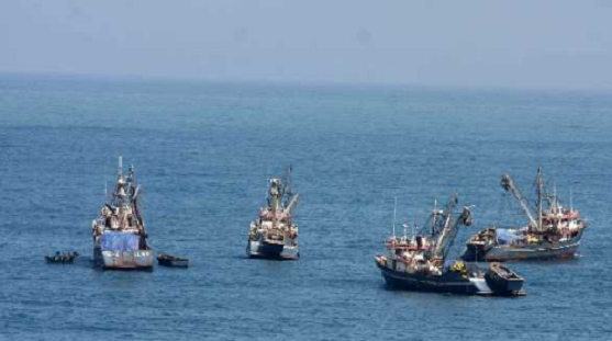 Pesca de consumo humano directo generaría más de 500 mil empleos