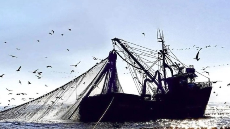 Segunda temporada de pesca de anchoveta iniciaría en noviembre